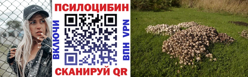 Псилоцибиновые грибы мухоморы  MEGA зеркало  Лабытнанги 
